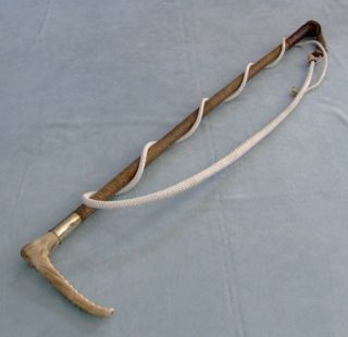 Antique Callow Son London Dog Fox Hunting Whip Thong Stag Horn Riding 