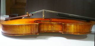   Old Violin Labeled Camillus de Camilli Faecit in Mantova 1781