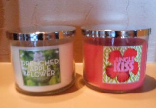   bath body works candle slatkin co you are bidding on the two candles