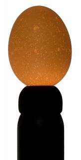 Titan Incubators Egg Candler High Intensity for Light Dark Hatching 