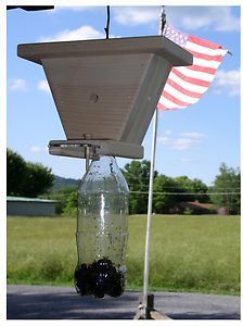 Carpenter Bee Trap NO Bait NO Glass Great Looking AND they WORK