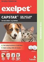 Exelpet Capstar for cats small dogs up to 11kg
