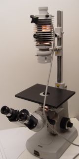 Carl Zeiss Inverted Opton Microscope Invertoscop D w/light 