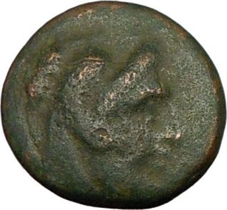Cassander 319BC Macedonian King RARE Authentic Ancient Greek Coin 