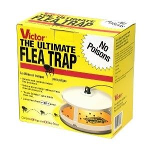 Victor Ultimate Flea Trap No Poison Odorless Traps 30ft