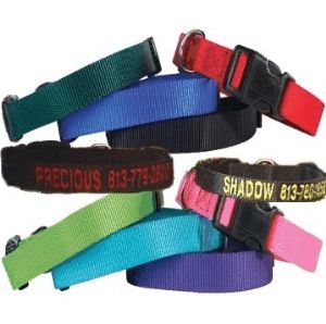 Personalized Embroidered Dog Cat Collars Free Shipping Compare Prices 