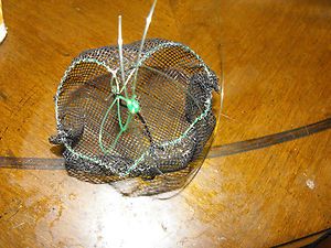 Catfish dip bait mesh bag Stinkbait Chicken liver Stink bait worm free 