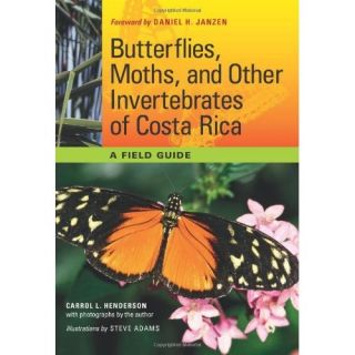 Butterflies Moths and Other Invertebrates of Costa Rica A Field Guide 