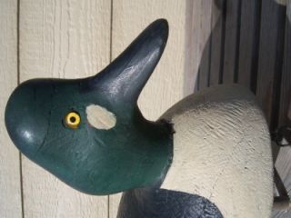   Wood Duck Decoy; Caseville, Saginaw Bay; MICH ; Pigeon , MI