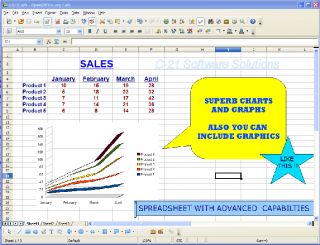 use spreadsheets for home budgeting and business cash flow flexible