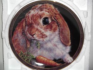 Bradford Exchange Collector Bunny Plates CARROT TOP Brand New