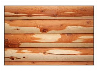 Cedar Logs for Log Homes 6x6 Length 8 Feet in Length