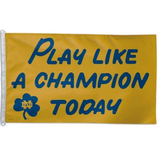 Notre Dame Play Like A Champion Today Large 3x5 Foot Flagpole Flag New 