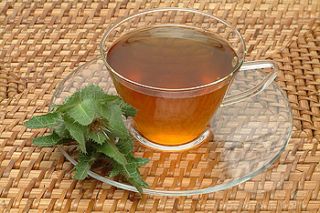 Blessed Thistle Herb C s Premium Natural Loose Tea 1 2 Pound Free 