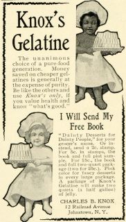 1902 Ad Charles B. Knox Gelatine Gelatin Mould Desserts Johnstown New 