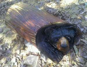 Chainsaw carve carved carving black bear in log rustic cabin