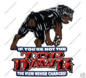 Top Dawg T Shirt If Youre not The View Never Changes
