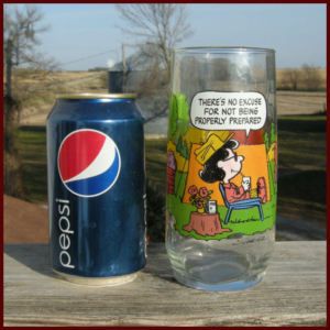    Camp Snoopy Collection Charlie Brown Glass Lucy Camping 1968 71
