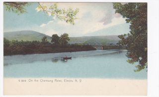 Elmira New York on The Chemung Rvier Rotograph Colored Postcard