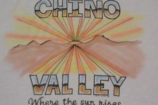 Vtg Chino Valley Rainbow Paper Thin Mens Purple T Shirt T Shirt 
