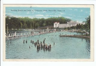 Chilhowee Park Lake Knoxville TN Tennessee Old Postcard