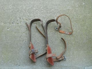 Vintage Klein Linesmans / Tree Climbing Spikes Size 16 w/ Pads