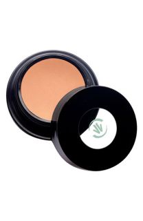 Vincent Longo Water Canvas Highlighter