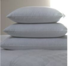 Collection 59 Queen My Flair European GOOSE Down Firm Pillow Side
