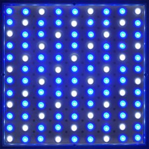 10mm LED Grow Light Panel Plant Aquarium Coral Reef 40W