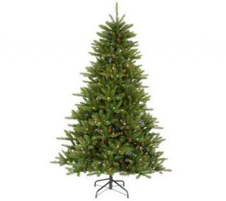 Knox Pine Instant Shape Tree LED lights byVickerman   H351233
