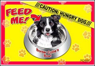 collie 17 x11 1 2 2 sided color dog placemat