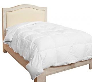 Northern Nights Full/Queen Oversized 600FP White Down Comforter
