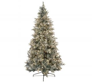 BethlehemLights Natural Series 7.5 Prelit Blue Spruce Tree —