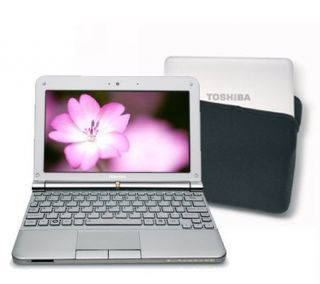 Toshiba NB205N311 Intel Atom 160GB 10.1 WhiteMini Ntbk w/Bag