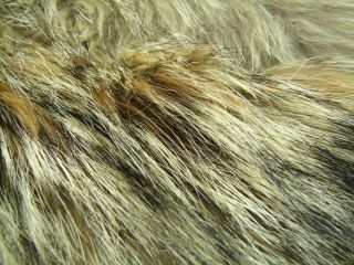 Vtg Coyote Full Length Alaskan Coyote Size Medium Fur Coat Jacket
