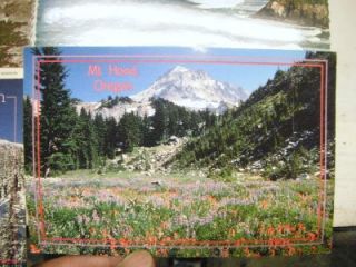  Oregon Postcards Mt. Hood Crater Lake Depoe Bay Timber Lodge unUSED