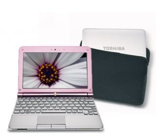 Toshiba NB205N313 Intel Atom 160GB 10.1 Pink Mini Ntbk w/ Bag