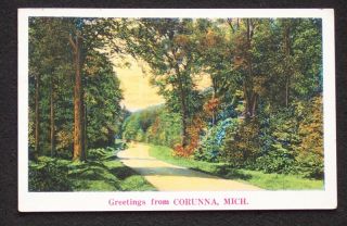 1938 Forest Road Greetings Corunna MI Shiawassee Co PC
