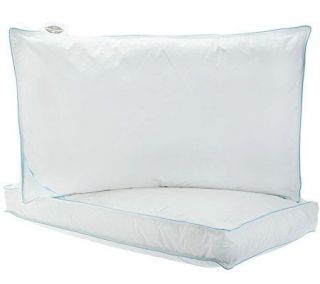 Northern Nights Set of 2 Queen 550FP Down Top Gusset Pillows