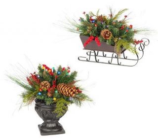 BethlehemLights BatteryOperated 18 MixedGreens Sleigh or Urn with 