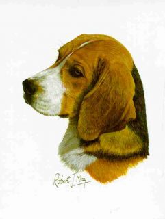 click to view image album beautiful beagle dog print the print has a