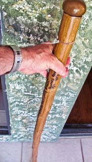 Custom Walking Cane Stick of Arizona Agave Plant Folk Art Adage Marty