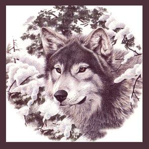 Grey Wolf in Snow Beautiful Wildlife on 6 Ceramic Tile