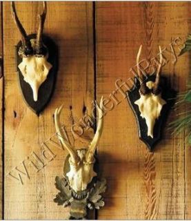 Vintage s 3 Bavarian Deer Wall Antler Trophy Plaques