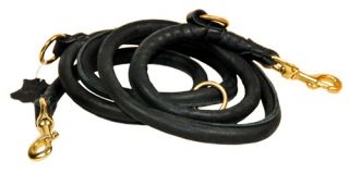 promotions general interest dean tyler rounded leather dog leash
