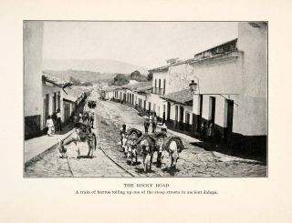  jalapa del valle oaxaca mexico rocky road train burro donkey streets