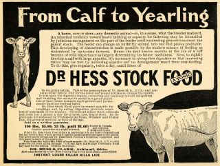 1907 Ad Cattle Digestive Aid Farm Dr Hess Stock Food Original