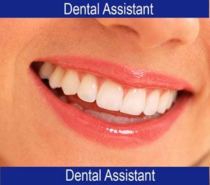 Dental Dentist Dentistry Assistant Training Guide Book