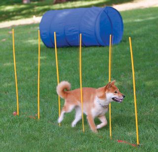 Dog Agility Kit for Pet Training Weave Poles Tunnel High Jump Stop
