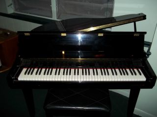  Baby Grand Digital Piano